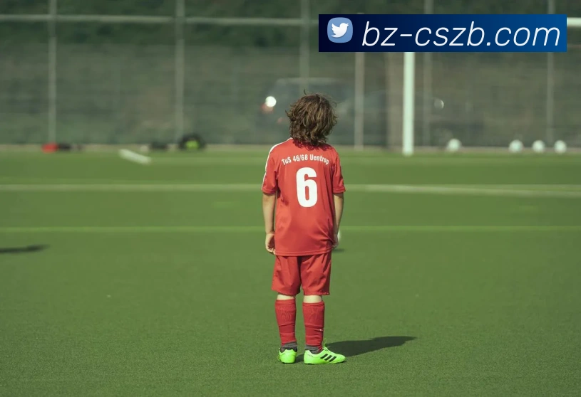 彩神争霸发展历程